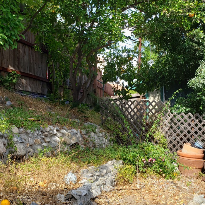 Terraced East Side of Yard